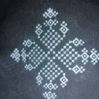 دوچگر سبزو هستم