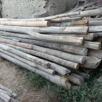 فروش تیر چوبی .چنار و مرخ