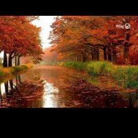 همراه طبیعت گردی