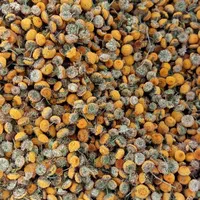 گیاه دارویی بابونه