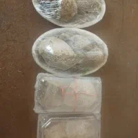 فروش عسل کوهی وحشی