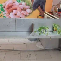 فروش وان و میز ماهی|فروشگاه و مغازه|اصفهان, عطار نیشابوری|دیوار