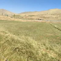 زمین کشاورزی|فروش زمین و ملک کلنگی|موچش, |دیوار