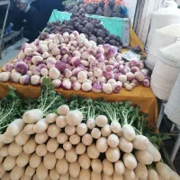 کارگر مغازه میوه فروشی