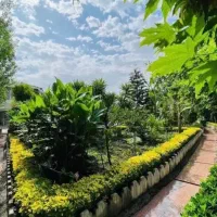 من-متخصص-فروش-زمین-در-چمستان-و-حومه-هستم