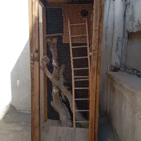 قفس مناسب برای طوطی سانان و سنجاب|لوازم جانبی حیوانات|تهران, پامنار|دیوار