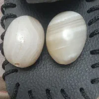 مهره سلیمانی اصلی