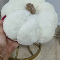 کوسن مبل یا کدو تدی تزئینی ،گلسر|صنایع دستی و سایر لوازم تزئینی|پاکدشت, پاکدشت (مامازند)|دیوار