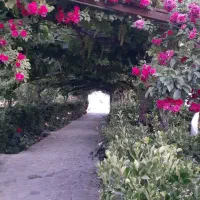 فروش باغ زیبا