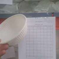 پخش ظروف یکبار مصرف گیاهی