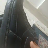 کفش|کیف، کفش، کمربند|صباشهر, |دیوار