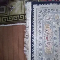 یک تخته فرش ۱۲ متری آکبند ۱۲۰۰ شانه تراکم بالا|فرش|فریدون‌کنار, |دیوار