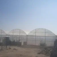 اجاره گلخانه|اجارهٔ دفتر صنعتی، کشاورزی، تجاری|زاهدان, |دیوار