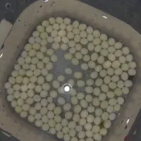 حلزون وخاویار