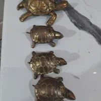 لاکپشت های برنز