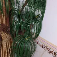 فروش گل مصنویی