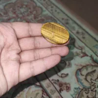 سنگ چشم ببر