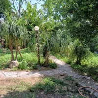 اجاره-آپارتمان-مسکونی-و-ویلادر-شهر-امام-زاده-عبدا