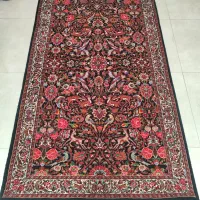 زرنیم شکارگاه بافت افشار تکاب