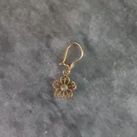 گوشواره گمشده