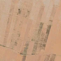 فروش باغ کشاورزی پسته احمدآقای  با سهمیه آب چاه|فروش دفتر صنعتی، کشاورزی، تجاری|نیریز, |دیوار