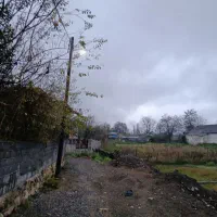 زمین مسکونی تو لفور چسبیده به جنگل هیرکانی|فروش زمین و ملک کلنگی|آلاشت, |دیوار