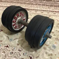 دمبل و هالتر با شصت و دو ونیم کیلوگرم وزنه