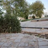 هم خانه