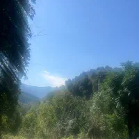 رهن کامل بهارستان