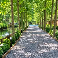 آرامش-طبیعت-آینده-ای-مطمئن