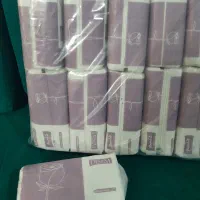 دستمال کاغذی|مواد شوینده و دستمال کاغذی|اندیمشک, |دیوار