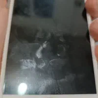 ایفون ۶|موبایل|رشت, نظری|دیوار