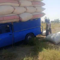 بارگیری کاه ازرودباربه کرمان