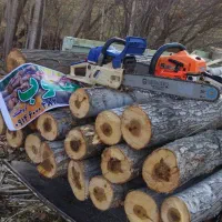 خرید و فروش و برش انواع چوب تر  و خشک|خدمات باغبانی و درختکاری|بوکان, |دیوار