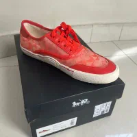 برند کوچ زنانه سایز ۴۱ کاملا نو با جعبه|کیف، کفش، کمربند|تهران, آسمان|دیوار