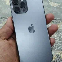 iPhone 12 Pro Max 256GB|موبایل|طبس, |دیوار