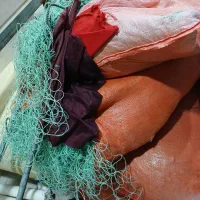 تور شیری ۲۶ پان