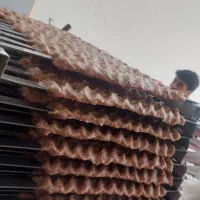 تهیه غذا ورستوران آی گونش