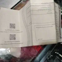 پیدا شده درخیابان ناوی