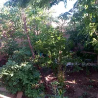 خانه باغ فروش متراژ300