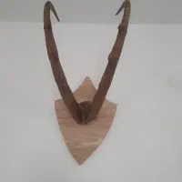 شاخ|کلکسیون اشیاء عتیقه|اسلام‌شهر, کاشانک|دیوار