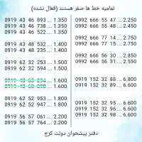 خط هایه ۰۹۱۹ رند صفر مشابه هم (دفتر پیشخوان دولت)