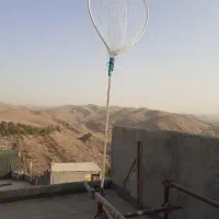 تور کبوتر|لوازم جانبی حیوانات|طرقبه, |دیوار