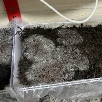کولر گازی بلااستفاده شما را اجاره میکنم