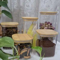 بانکه پیرکس