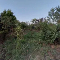 فروش۳۵۰متری/زمین مسکونی/ویوشالیزاربرجاده/اطراف شفت|فروش زمین و ملک کلنگی|شفت, |دیوار