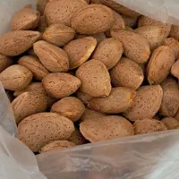 بادام