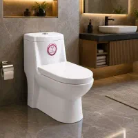 چینی بهداشتی مرجان