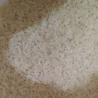 برنج هاشمی گیلان