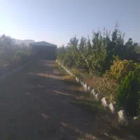 باغ درجه یک